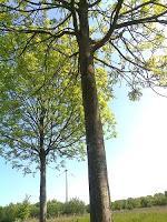 Erwerbstätigkeit am Freitag, dem 13.