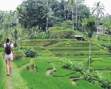 OOTD: Ricefields of Ubud
