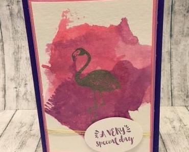 Flamingo-Love