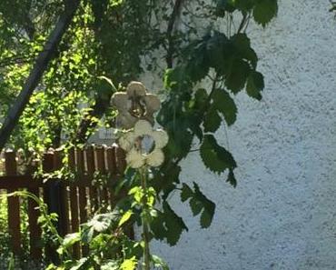 Sonntagsfreude: 1000 gute Gründe