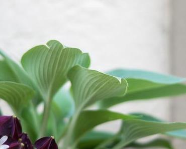 Wohnen | Haustürdeko im Mai - Glück ist überall!