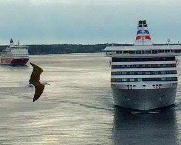 Ostsee-Kreuzfahrt: Tallinn, St. Petersburg, Helsinki, Stockholm