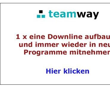 Teamway - Das Team ist der Weg...