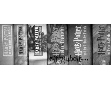 Harry Potter entzaubert - Wenn der Zauber verfliegt ~ Harry Potter und der Stein der Weisen