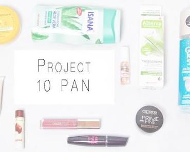 PROJECT 10 PAN
