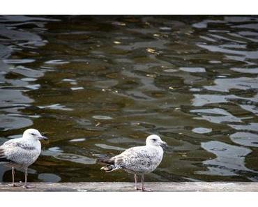 Hamburg – Eine Stadt mit vielen Qualitäten