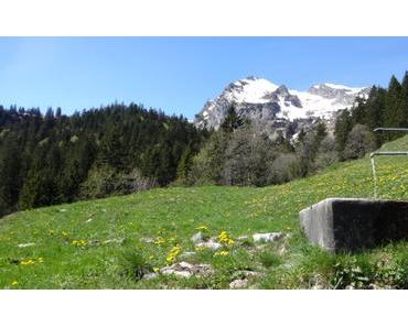 unser Mehrfach-Frühling