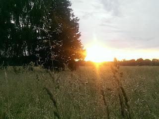Wenn Mutti sich nicht fühlt - Eine Woche die man streichen könnte