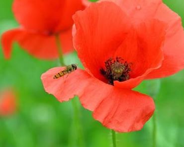 .und dann war da ja noch