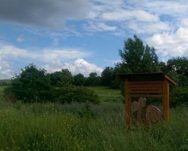 Bienen all over – ü30 Blogger & friends