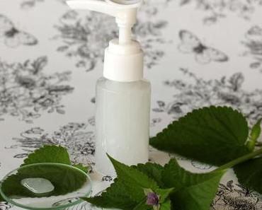 Kühlendes Eisgel selbst gemacht