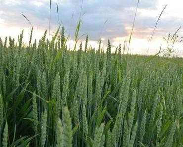Reisegedanken zu meiner Reise nach Sprögnitz