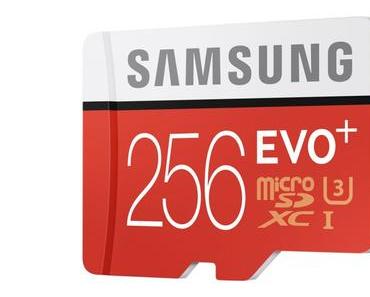 Das Speichermonster EVO Plus 256 GB von Samsung