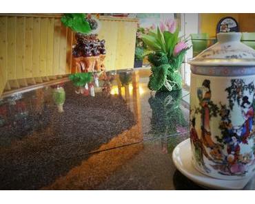 HANOI 1150 -Bester Wiener Vietnamese.