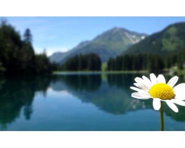 schwungvoll zum Arnisee