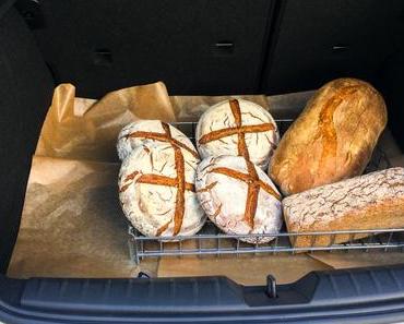 Cucinaepiu goes Hauskonzert