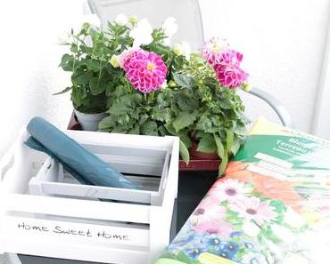 DIY für wenig Geld aber viel Effekt