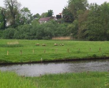 Erlebt in der Natur #7 Die Trave bei Hamberge 2/2