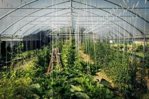 Unaufgeregte Gemütlichkeit macht Lust auf mehr im Ströck-Feierabend