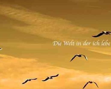 wallpaper-1689754