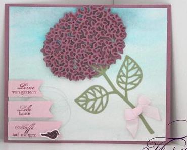 Nicht immer nur Karten!!!