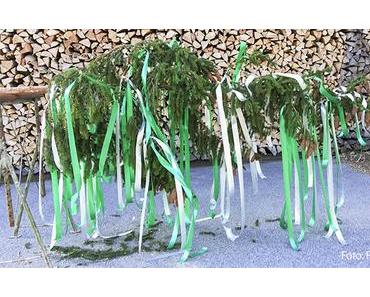 Termintipp: Maibaumumschneiden beim Franzbauer
