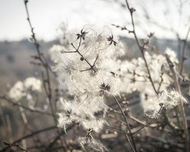 Was gibt's Neues? Der etwas persönlichere Beitrag