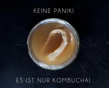 Zahlreiche Gründe um Kombucha selbst herzustellen und regelmäßig zu trinken