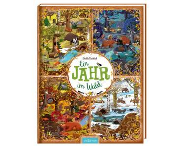Dziubak, Emilia: Ein Jahr im Wald (Kinderbuch)