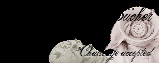 Viele Challenges, viel zu tun.. Ein kleines Update