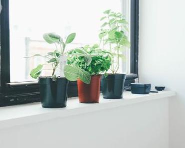 Die etwas andere Must Have Liste für meine neue Wohnung