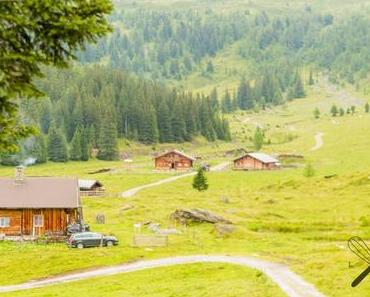 Alm-Krapfenmission im SalzburgerLand [Werbung]