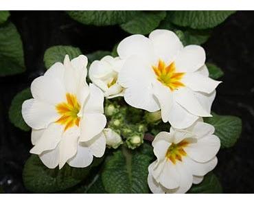 Manchen geht es sehr gut - aber sie sind trotzdem nicht zufrieden