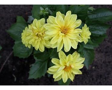 Wenn Ihr das Glück finden wollt...