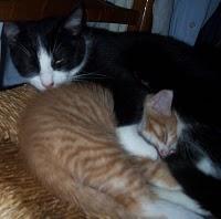 Douglas, Freizeit und viel Geschnatter