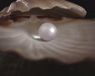 Die wunderschöne Perle - Eine Geschichte für uns, aber auch für unsere Kinder und Enkelkinder