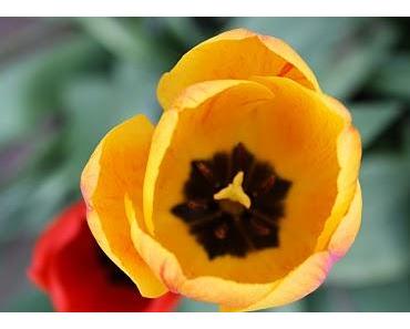 Achtung – Heute wird an der Uhr gedreht – Die Sommerzeit beginnt