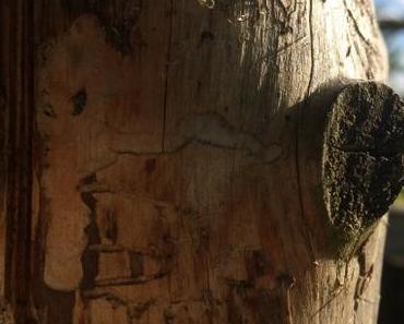 Sonntagsfreude: Luxus