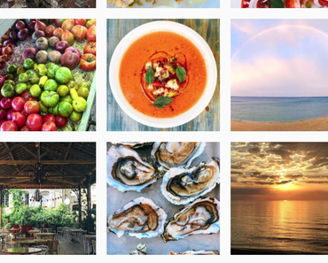 unser Sommer in Südfrankreich – die Neuigkeiten