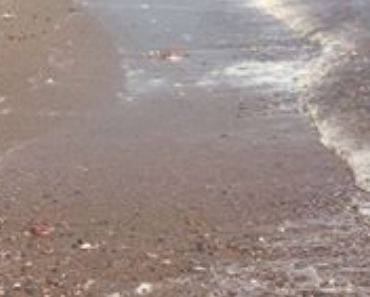 Erneutes Ärgernis – Bodrums Camel Beach schäumt über