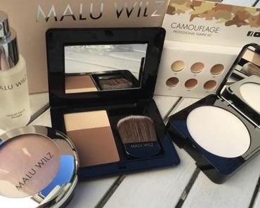 SHAPE ARTISTIC by MALU WILZ Beauté – Strobing, Contouring und Camouflage zum selbstschminken