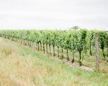 …von Heimlichkeiten und Erfreulichkeiten.