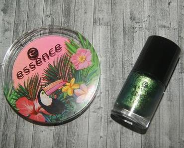 essence exit to explore LE - Mein Einkauf