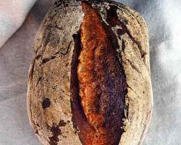 Sauerteig konservieren – ein Experiment mit erstaunlichem Ausgang