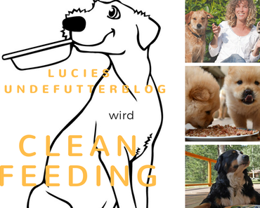 Lucies Hundefutterblog wird Clean Feeding