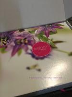 Schön für mich Box August