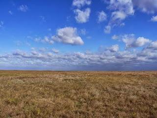 Warum schreibe ich über deutsche Siedler in der Prärie?