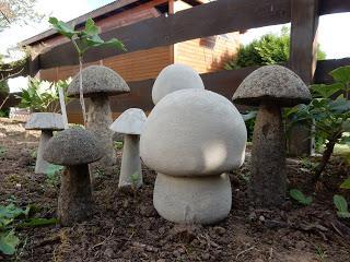 Dicke Champignons und eine Schale...