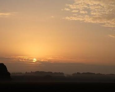 Draussen | In Heaven No 39/2016