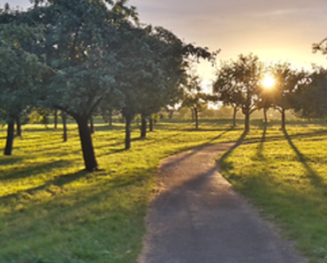 THINK GLOBAL RADIO #19 // free podcast